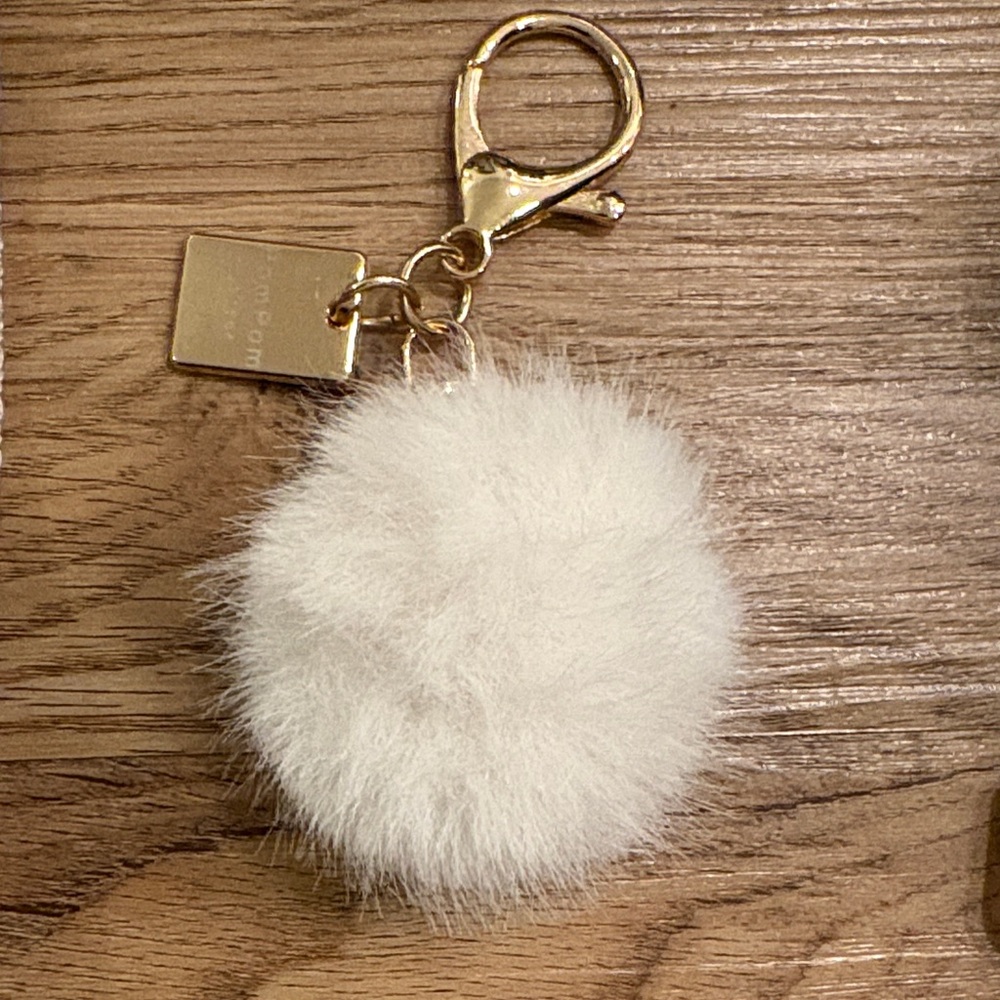 Pom Pom London Silver Crossbody Bag with Three Straps, a key chain and dust bag - Picture 11 of 13
